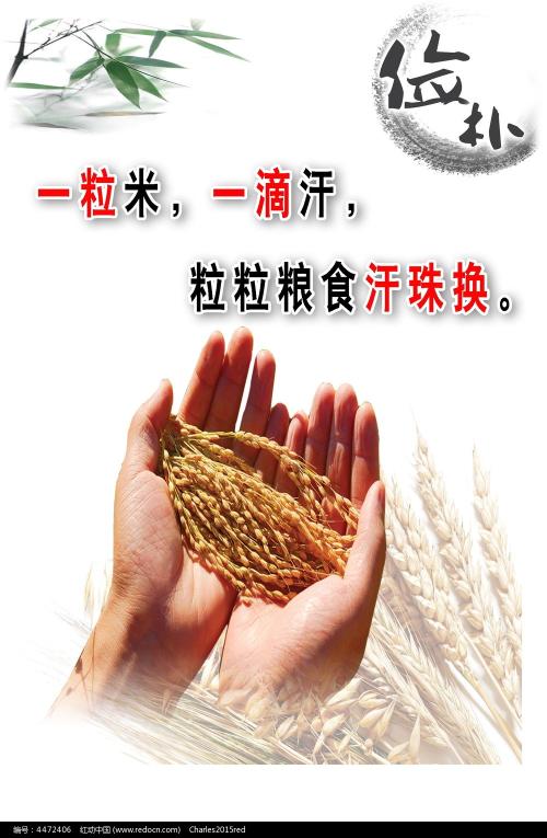 新罕布什尔州身份证怎么买到